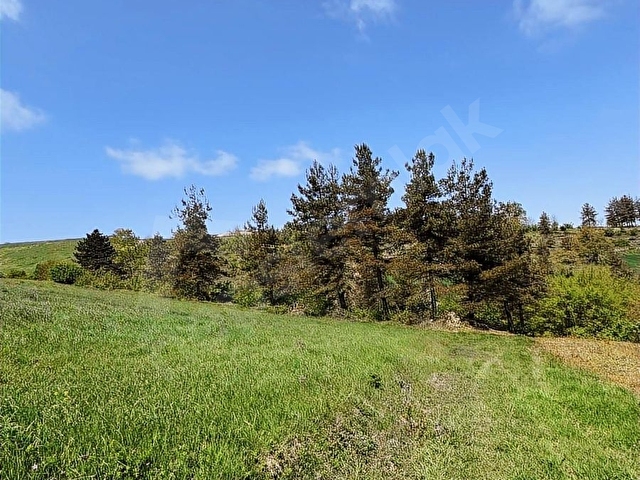 Kocaeli Derince Kaşıkçı Mah. Kadastral Yol Cepheli 1.995m2 - Görsel 6