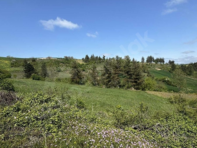 Kocaeli Derince Kaşıkçı Mah. Kadastral Yol Cepheli 1.995m2 - Görsel 8