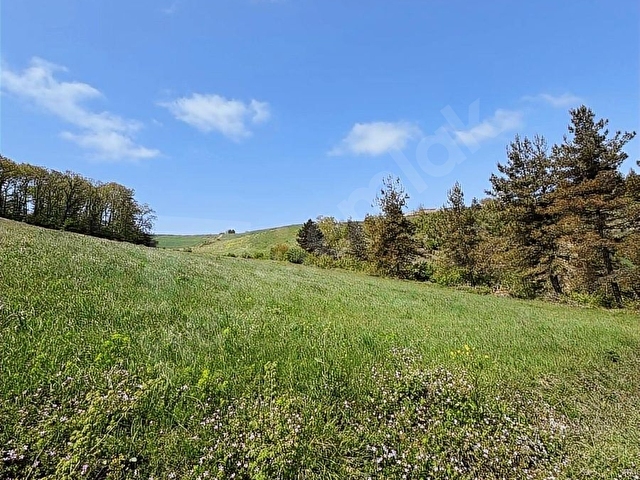 Kocaeli Derince Kaşıkçı Mah. Kadastral Yol Cepheli 1.995m2 - Görsel 7