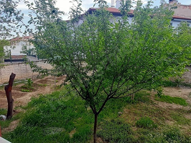 ERENKÖYDE HOBİ BAHÇELİ FIRSATLIK GENİŞ 3+1 SATILIK DAİRE - Görsel 5