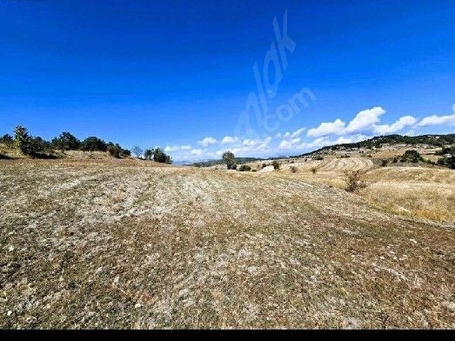 KADASTRO CEPHELİ 1500m2 DÜZ ZEMİN ASVALTA 300 M. - Görsel 16
