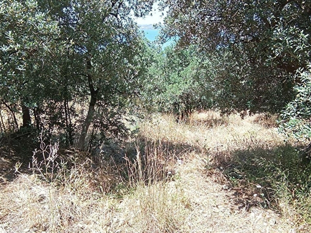 Balıkesir Erdek Narlı Mah. 2.080 m2 Satılık Zeytinlik Deniz Manzaralı Yatırımlık - Görsel 23