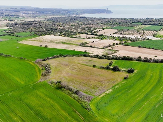 ÇANAKKALE ECEABAT SEDDÜLBAHİRDE 11.861 M2 SATILIK TARLA - Görsel 7