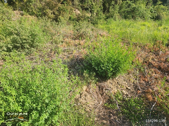 KAVAKLIDERE MENTEŞE MAHALLESİNDE SATILIK 2 PARSEL 2322M2 TARLA - Görsel 3