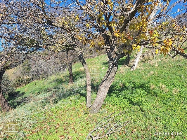 HBden Satılık Bahçe, Kenger Mahde Mükemmel Doğa Manzaralı - Görsel 10