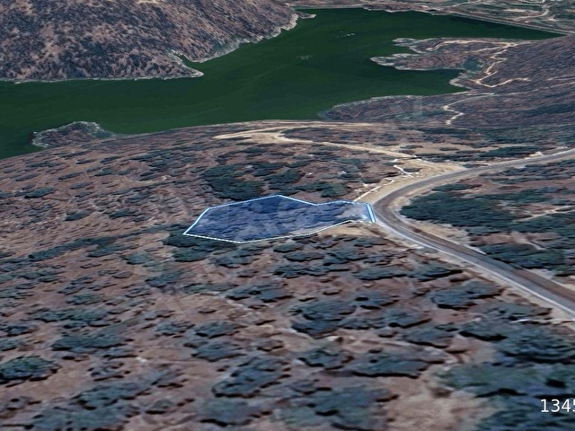 Aydın Karpuzlu Cumalarda Yola Yakın 1.333 m² Satılık Zeytinlik - Görsel 6