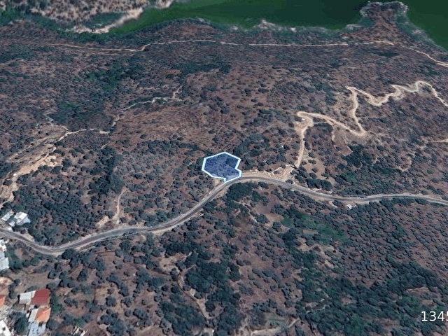 Aydın Karpuzlu Cumalarda Yola Yakın 1.333 m² Satılık Zeytinlik