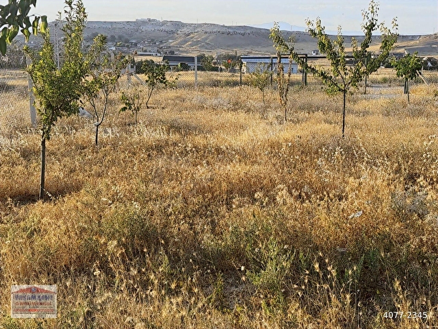 YENİHİSARDA 433 m2 KÖŞE BAŞI İÇERİSİNDE EVLİ ARSA - Görsel 30
