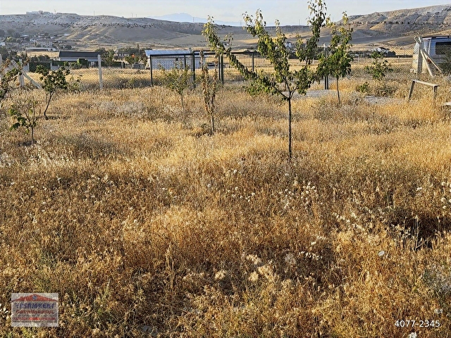 YENİHİSARDA 433 m2 KÖŞE BAŞI İÇERİSİNDE EVLİ ARSA - Görsel 26