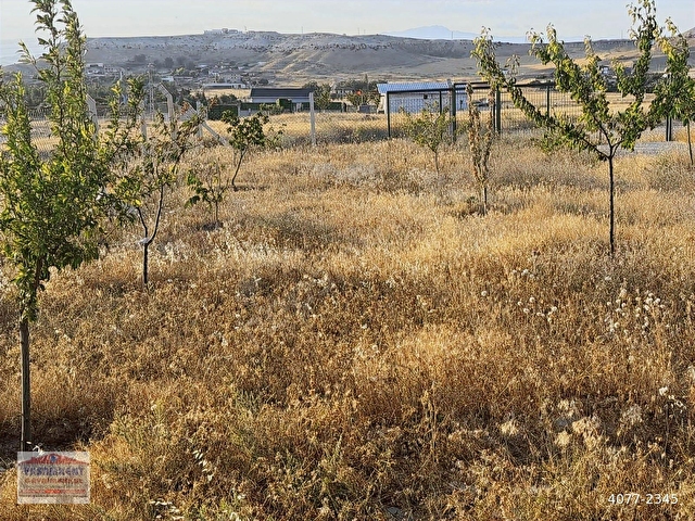 YENİHİSARDA 433 m2 KÖŞE BAŞI İÇERİSİNDE EVLİ ARSA - Görsel 28