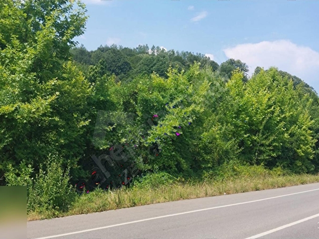 AKÇAKOCA EDİLLİ PLAJI YANI ANAYOLA 159 METRE CEPHELİ ARSALAR - Görsel 10