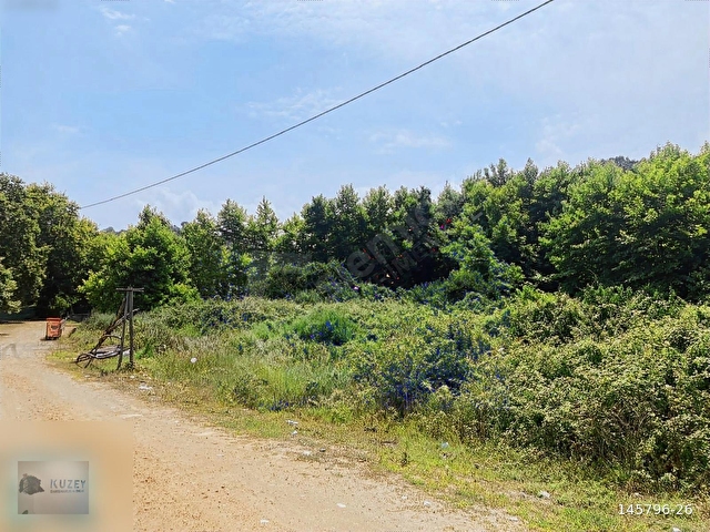 AKÇAKOCA EDİLLİ PLAJI YANI ANAYOLA 159 METRE CEPHELİ ARSALAR - Görsel 19
