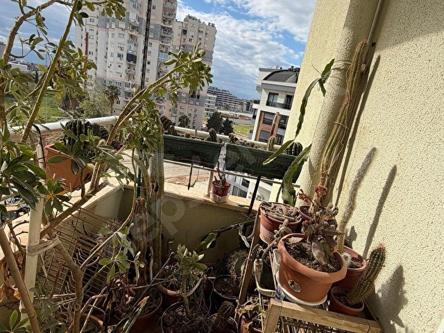 Altıntaş Ara Kat 247 m2 Satılık Daire - Görsel 13