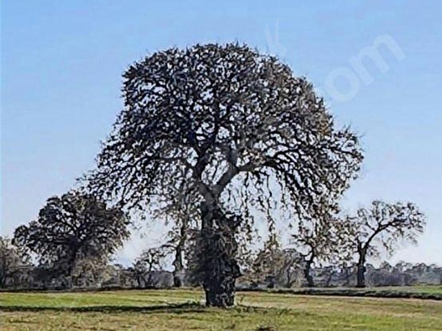 Ana yol üzeri Satılık Turizim alanında Manzaralı - Görsel 18
