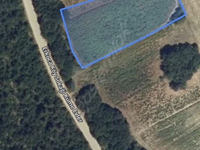 ASVALT YOLA 55 METRE CEPHELİ ÇİFTLİK YAPIMINA UYGUN.. - Görsel 11