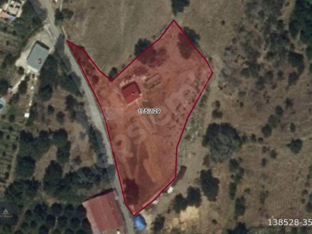 MABELDEN ÜZÜMLÜ/BAYIRBAĞDA SATILIK 3,843 m2 BAHÇE VE DOĞA EVİ