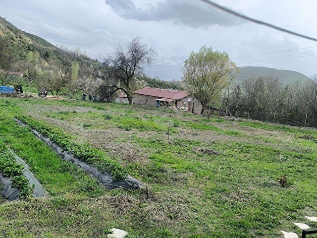 MABELDEN ÜZÜMLÜ/BAYIRBAĞDA SATILIK 3,843 m2 BAHÇE VE DOĞA EVİ - Görsel 15