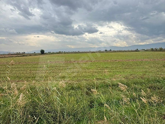 SATILIK TARIM ARAZİSİ AYDIN EFELER 20.572.00 mt