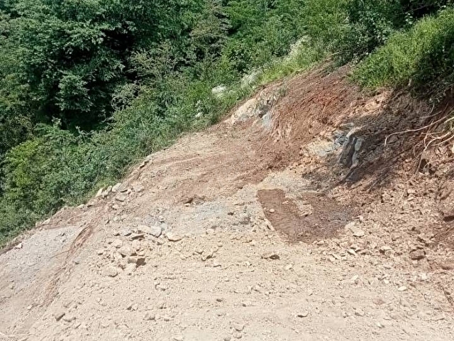 Ordu Perşembe bolatlı da satılık fındık bahçesi - Görsel 2