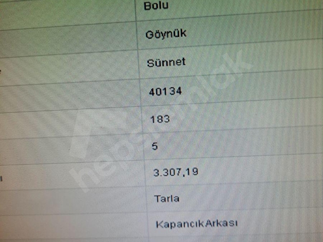 BOLU GÖYNÜK SATILIK TARLA - Görsel 13