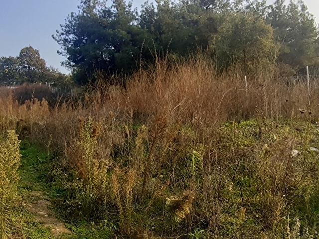 Bursa Demirci De Satilik 1586 M2 Arsa Bahce 56377 2072 Hurriyet Emlak
