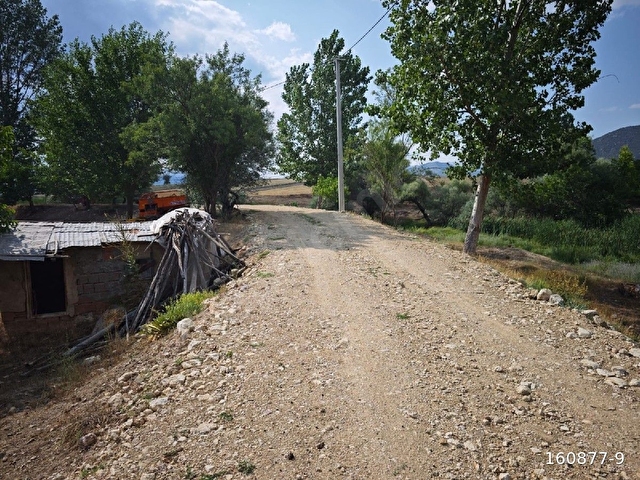 SEYDİKEMER TEMEL SATİLİK SULU TARLA - Görsel 3