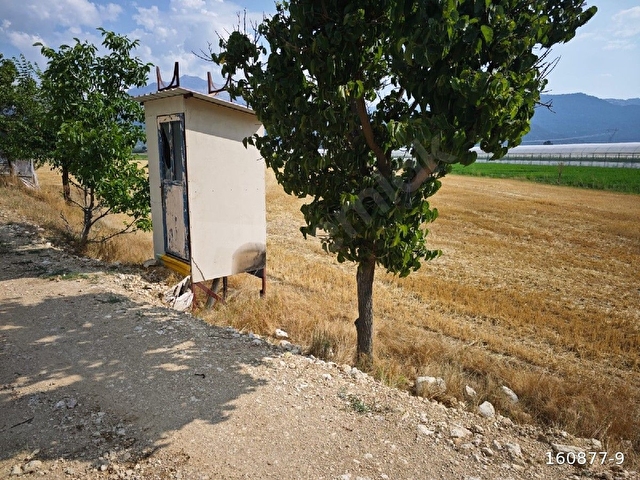 SEYDİKEMER TEMEL SATİLİK SULU TARLA - Görsel 10
