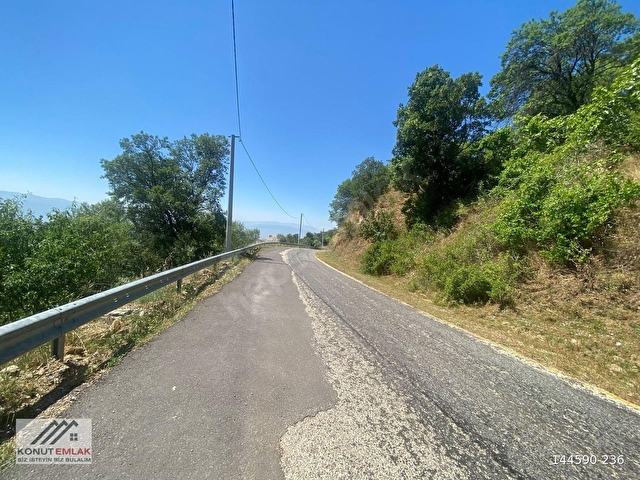 KONUT EMLAKTAN SAMAİLLİDE 2450 M2 ANAYOLA SIFIR SATILIK İNCİRLİK - Görsel 13