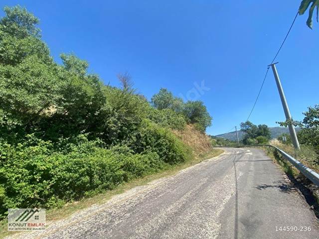 KONUT EMLAKTAN SAMAİLLİDE 2450 M2 ANAYOLA SIFIR SATILIK İNCİRLİK