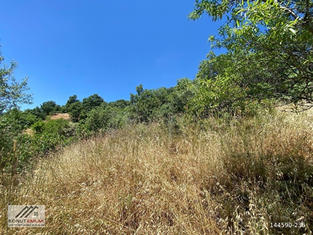 KONUT EMLAKTAN SAMAİLLİDE 2450 M2 ANAYOLA SIFIR SATILIK İNCİRLİK - Görsel 22