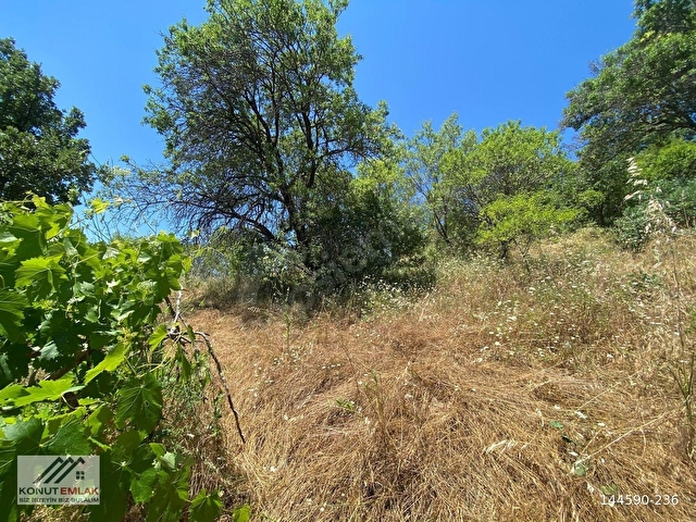 KONUT EMLAKTAN SAMAİLLİDE 2450 M2 ANAYOLA SIFIR SATILIK İNCİRLİK - Görsel 15
