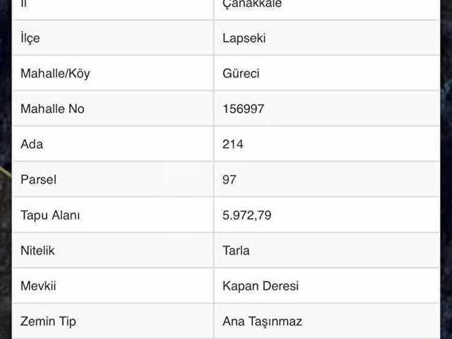 Çanakkale Lapseki Gürecide Müstakil Satılık Tarla - Görsel 5