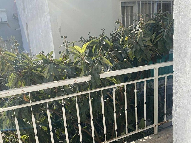 BOZYAKA CADDE YAKINI 2+1 DOGALGAZ LI METRO 35 EMLAKTAN KİRALIK - Görsel 19