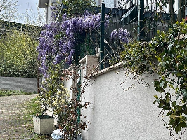 Uskumruköy Butik Site Satılık 3+1 Müstakil Bahçeli Teraslı Daire - Görsel 6