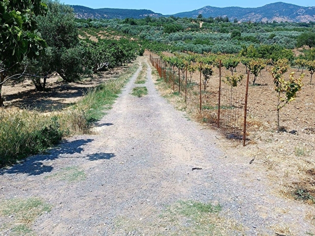 İzmir Menemen Bozalan Köyünde Tek Tapu Satılık Tarla - Görsel 4