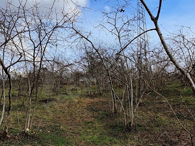 U YAPI GAYRİMENKUL | Sahil Yoluna 900 mt Satılık Arsa | 8,109 m2 - Görsel 14
