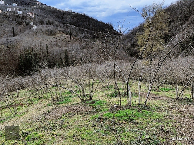 U YAPI GAYRİMENKUL | Sahil Yoluna 900 mt Satılık Arsa | 8,109 m2 - Görsel 7