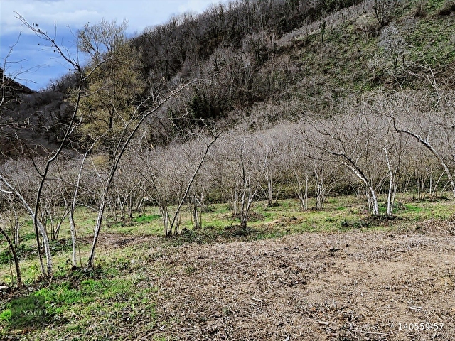 U YAPI GAYRİMENKUL | Sahil Yoluna 900 mt Satılık Arsa | 8,109 m2 - Görsel 5
