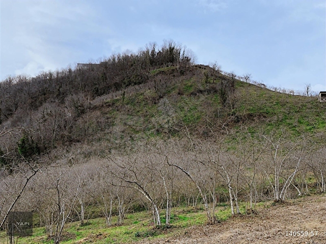 U YAPI GAYRİMENKUL | Sahil Yoluna 900 mt Satılık Arsa | 8,109 m2 - Görsel 9