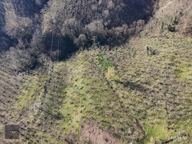 U YAPI GAYRİMENKUL | Sahil Yoluna 900 mt Satılık Arsa | 8,109 m2 - Görsel 20