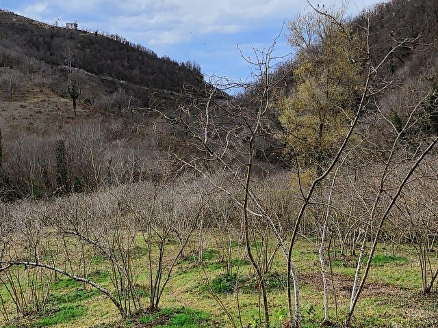 U YAPI GAYRİMENKUL | Sahil Yoluna 900 mt Satılık Arsa | 8,109 m2 - Görsel 15