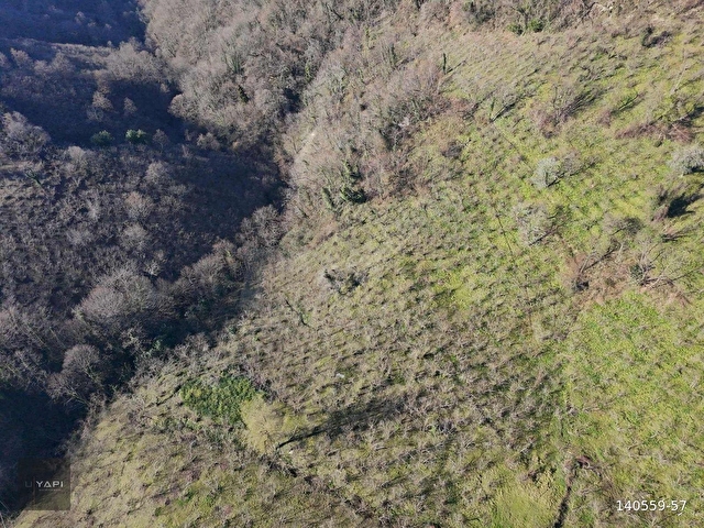 U YAPI GAYRİMENKUL | Sahil Yoluna 900 mt Satılık Arsa | 8,109 m2 - Görsel 3