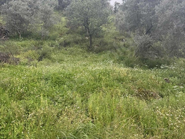 TURYAPTAN SATILIK AKÇAŞEHİR KÖYÜNDE DOĞAYLA İÇ İÇE ÖZEL ARSA - Görsel 6