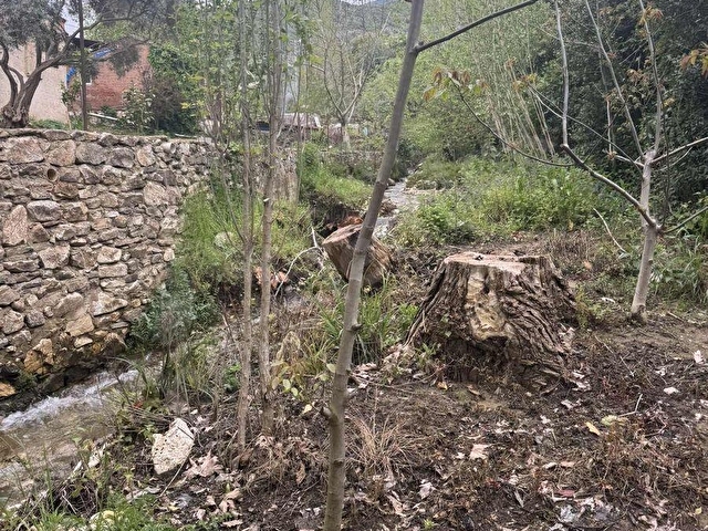 TURYAPTAN SATILIK AKÇAŞEHİR KÖYÜNDE DOĞAYLA İÇ İÇE ÖZEL ARSA - Görsel 3