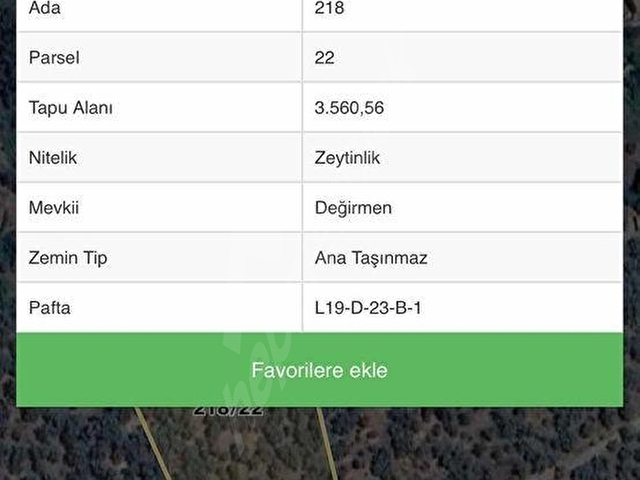 TURYAPTAN SATILIK AKÇAŞEHİR KÖYÜNDE DOĞAYLA İÇ İÇE ÖZEL ARSA - Görsel 29
