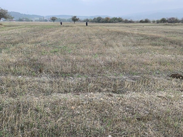 Merkeze 16km, Otobana Komşu Satılık Hobi Bahçesi Tarzında YOLA 60M - Görsel 6