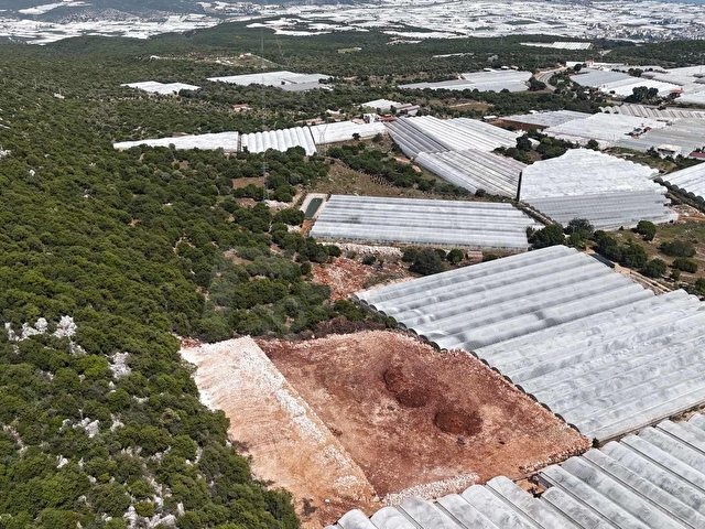 MÇG DEN GÜRSESTE EN HARİKA KONUMDA SATILIK TARLA - Görsel 7