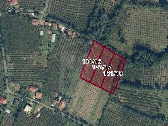 YENİCAMİ (KUŞÇULU)’DA 3 PARSEL BİRDEN TOPLAMDA 6.145 M2 FINDIK BAHÇESİ - Görsel 25