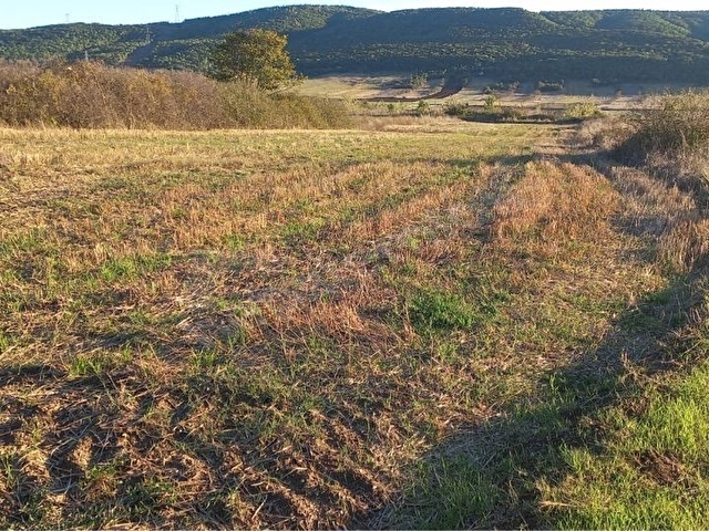 Bekirlide Yatırımlık Tarla 218 m2 Yola Cephe - Görsel 6