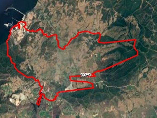 Bekirlide Yatırımlık Tarla 218 m2 Yola Cephe - Görsel 9